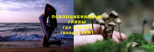 бутират Новозыбков