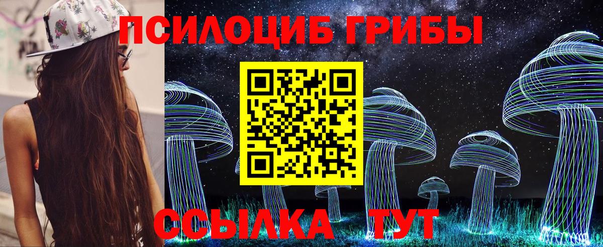 Псилоцибиновые грибы Cubensis  Вход с VPN  Великий Новгород  Галлюциногенные грибы MAGIC MUSHROOMS 